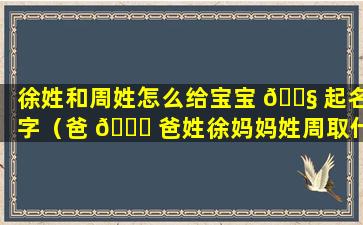 徐姓和周姓怎么给宝宝 🐧 起名字（爸 🐋 爸姓徐妈妈姓周取什么名字好听呢）